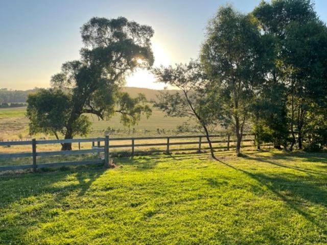 Sunset Cottage - Yarra Valley Healesville Eksteriør bilde